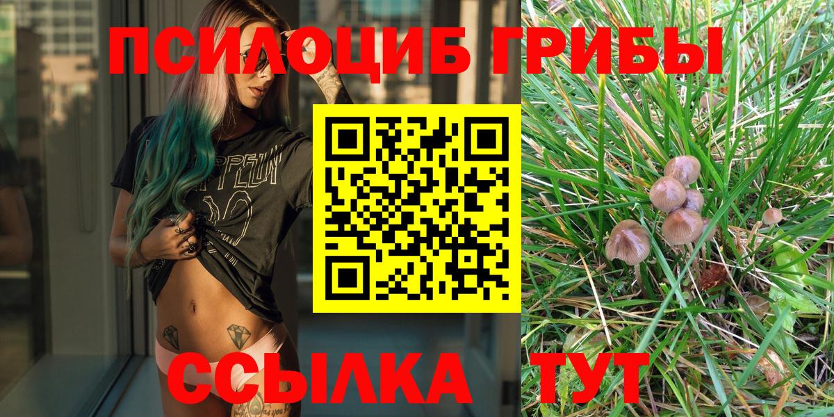 Псилоцибиновые грибы Magic Shrooms  Вход с VPN  Шарыпово 