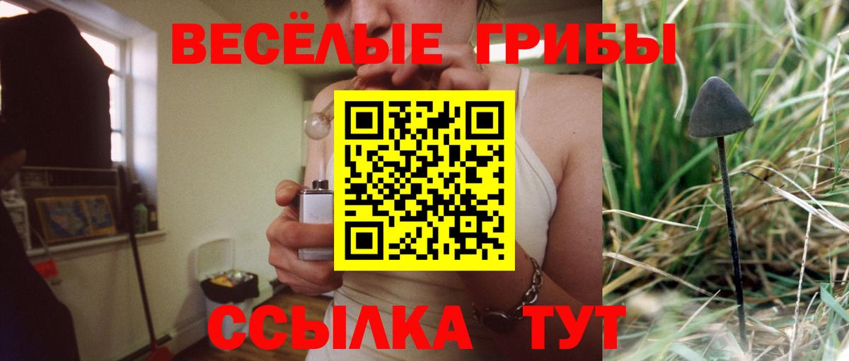 Галлюциногенные грибы мицелий Шарыпово